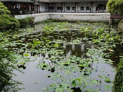 -上海醉白池公园