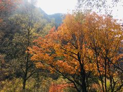 -叠溪松坪沟景区