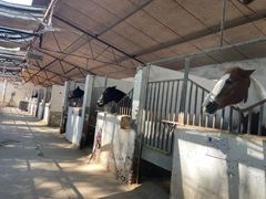 -月河湾马术俱乐部(朝阳店)