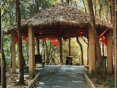 -黄山翡翠谷景区
