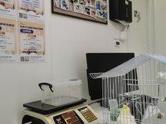 -立德动物医院·异宠·CT·鹦鹉(天河店)