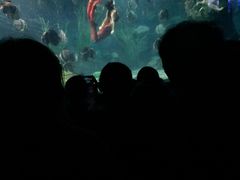 -南昌海洋公园