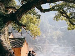 -杨家堂村