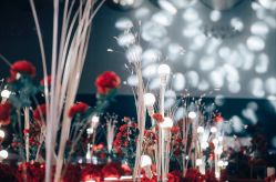 -艾米婚纱&婚礼策划