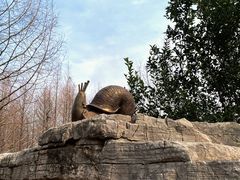 -苏州太湖国家湿地公园