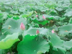 -星巴克(西湖天地店)