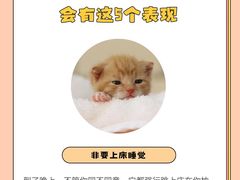 -佩兹宠物医院肿瘤专科·眼科·牙科(黄浦店)