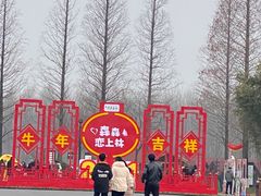 -黄海国家森林公园