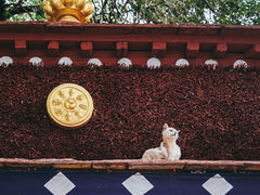 -色拉寺