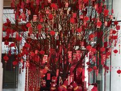 -上海雅居乐万豪侯爵酒店
