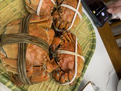 -蟹天蟹地农家菜·阳澄湖大闸蟹(浅水湾店)