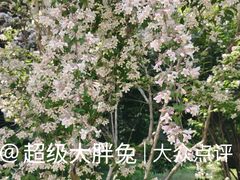 -济南植物园