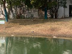 -南京林业大学(淮安校区)