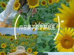 -苏州湾体育公园