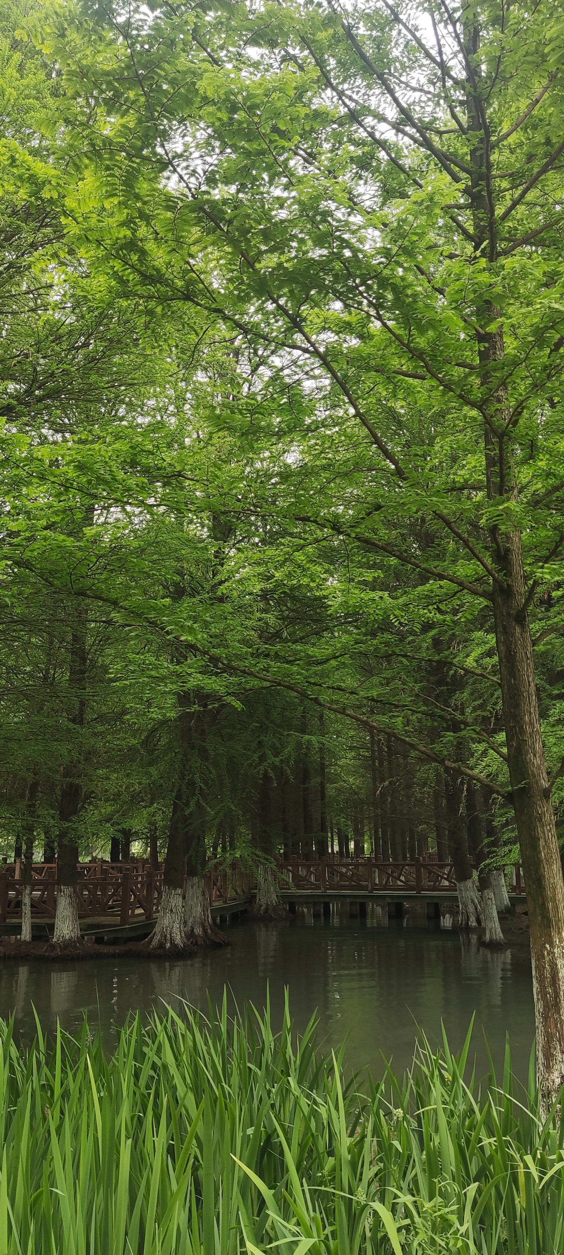 湘家荡景区