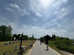 -盐城丹顶鹤湿地生态旅游区