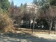 -友鹏海鲜(新宜白大道店)