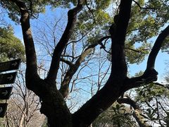 -西湖游船