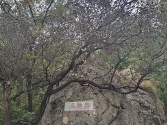 -阳台山自然风景区