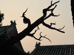 -北京国子监胡同