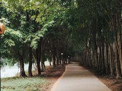 -三水森林公园