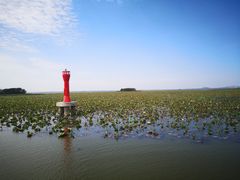 -微山湖红荷湿地景区