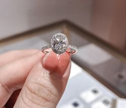 -钻石小鸟钻戒婚戒定制(石路店)