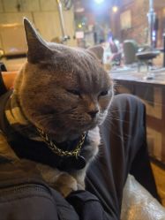 -青木造型HAIR·あおき髪を刈る潮人店