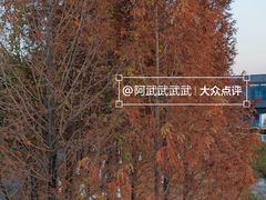 -白鹭湾湿地公园