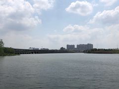 -澹台湖公园