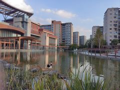 -梧桐人家中国太平国际健康颐养社区