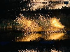 -横店影视城梦幻谷园区