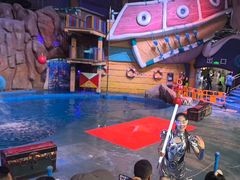 -烟台海昌鲸鲨海洋公园