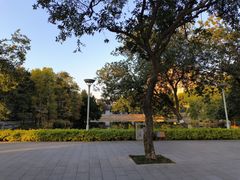 -荔湾湖公园