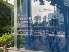 -小树照相馆·证件照(打浦桥店)