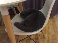 -壹人壹像工作室(购物公园店)
