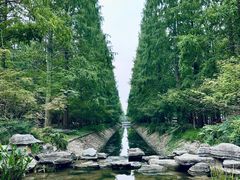 -东平国家森林公园