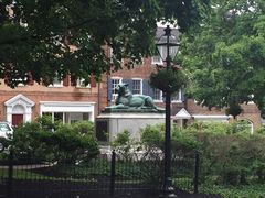 -普林斯顿大学