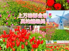 -河南宝泉旅游区