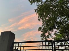 -成都你六姐·牛肉冒菜(上海环宇荟店)