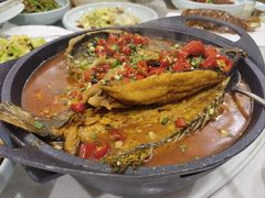 -洞庭家宴·头牌甲鱼(广渠门店)