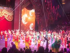 -珠海横琴长隆《卡卡虎奇遇记》