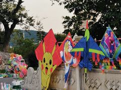 -羊山湖公园