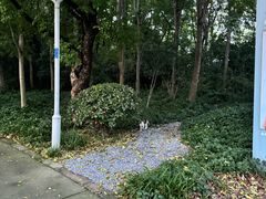 -长广溪湿地公园