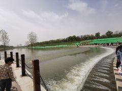-洨河生态公园