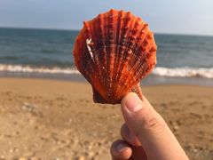 -青岛银沙滩