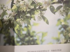 -青岛市图书馆