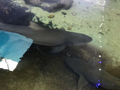 -鸿通城购物中心