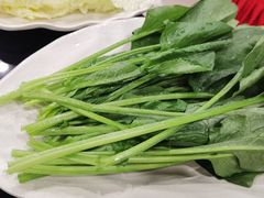 -芦月轩羊蝎子(太平桥店)
