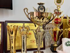 -常青藤国际象棋(新奥店)